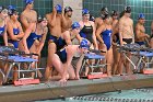 Swim vs Bentley  Wheaton College Swimming & Diving vs Bentley University. - Photo by Keith Nordstrom : Wheaton, Swimming & Diving